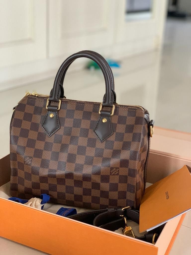 Rec. plaza senayan LV Alma BB damier ebene 2022