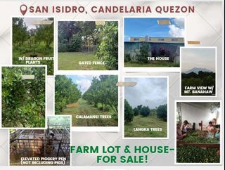 Farm Lot & House + Fruiting Trees-For Sale!!!