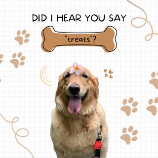 (Category: ) located in . Submitted by mitzeeeee (Listing ID 1203599796, Image 1). Description: .