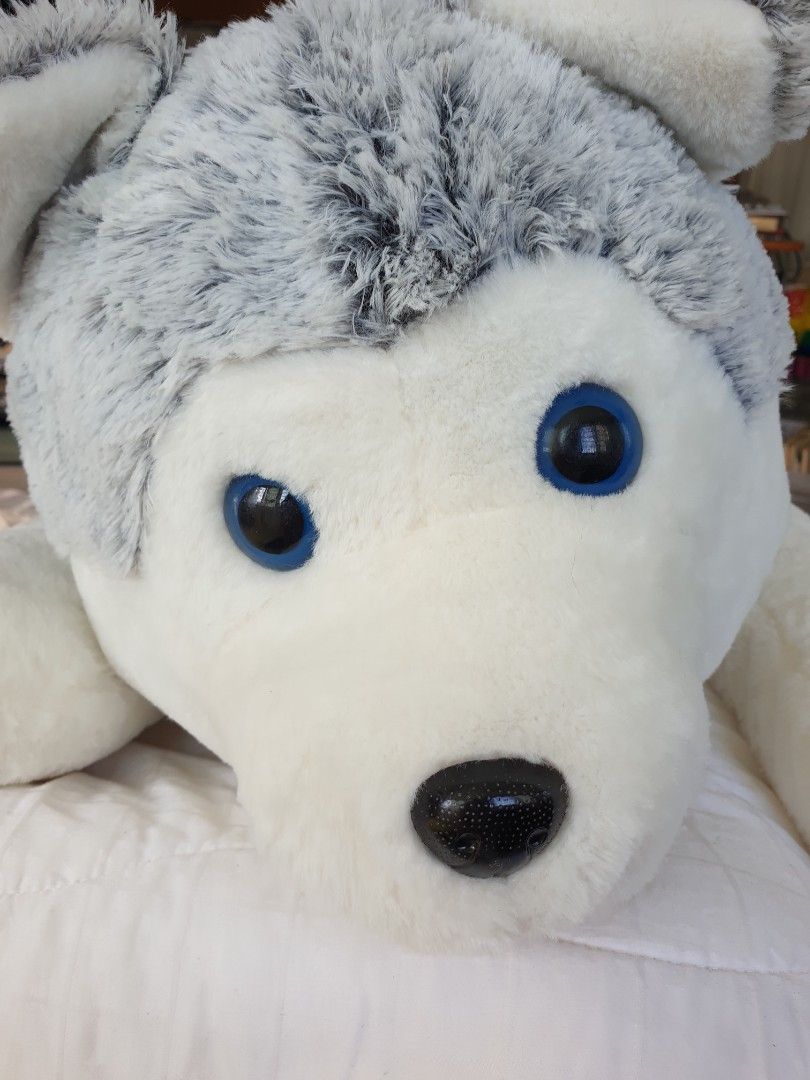 large dog cuddly toy