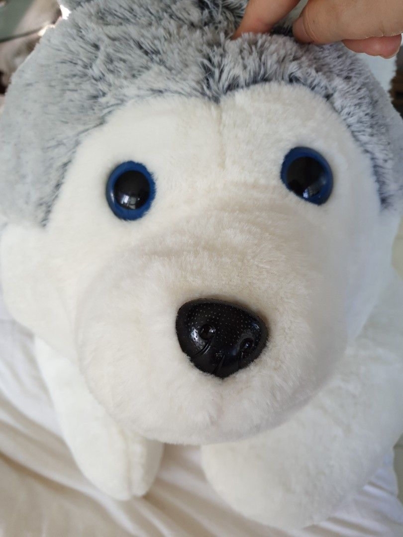 large dog cuddly toy
