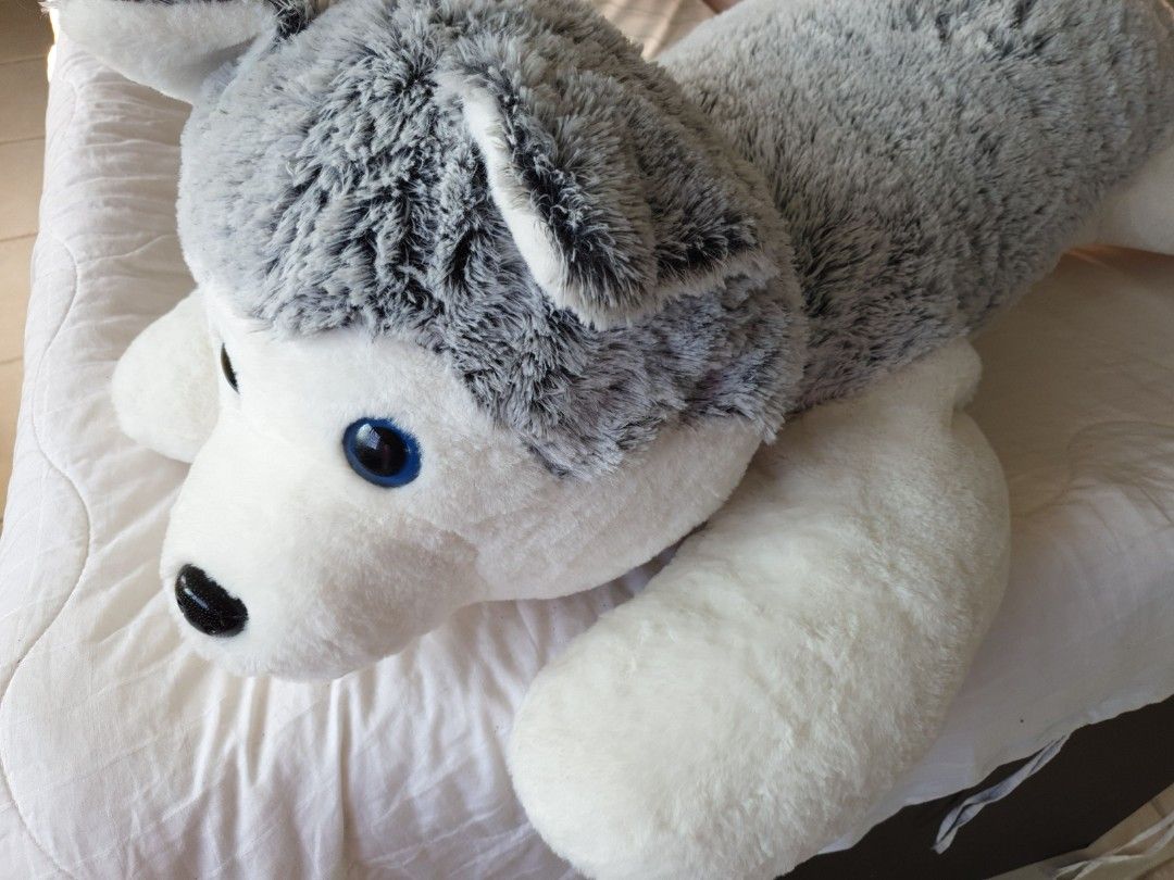 huge husky plush