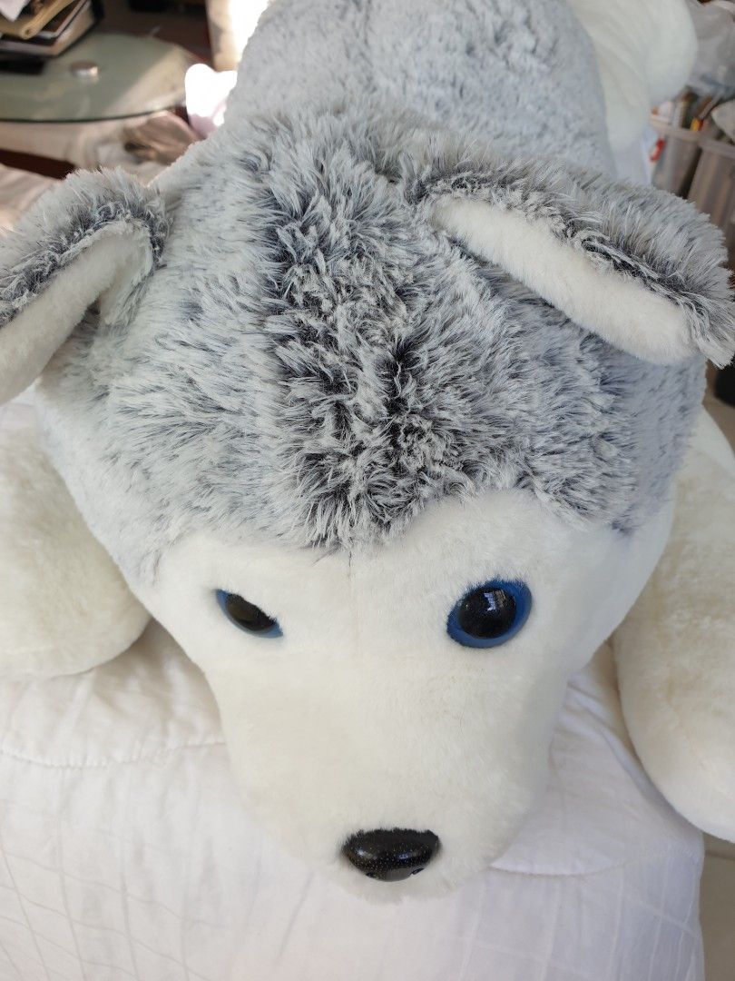 large dog cuddly toy