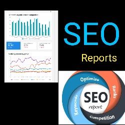 I will SEO Reports