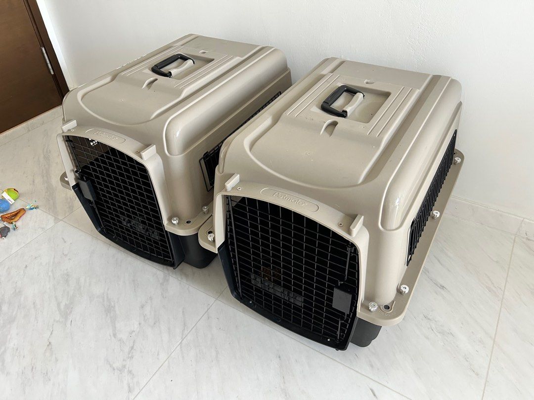 IATA Pet Crete 200 Medium Pet Supplies Homes Other Pet