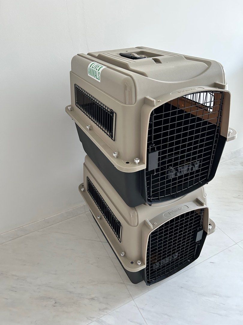 IATA Pet Crete 200 Medium Pet Supplies Homes Other Pet