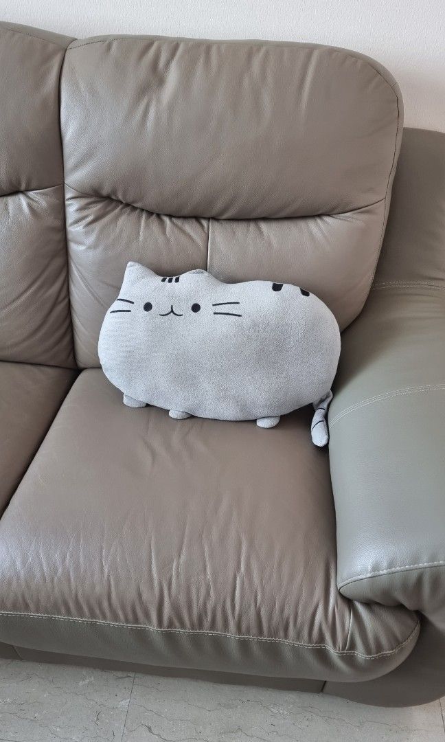 Pusheen two sided pillow top