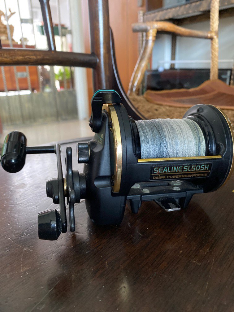 Vintage Daiwa Sealine SL50SH Sea fishing reel, Sports Equipment, Fishing on  Carousell