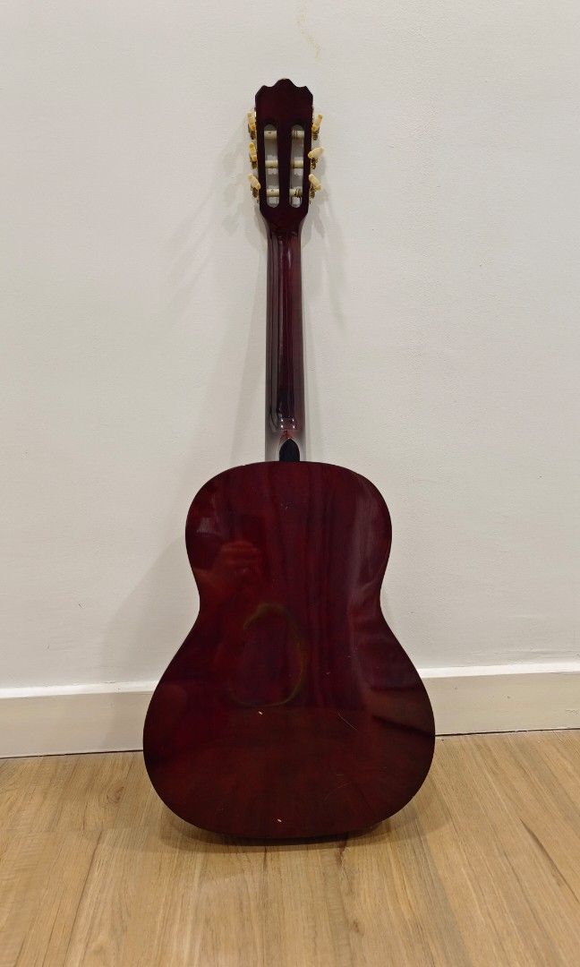 Ashton cheap guitar bag