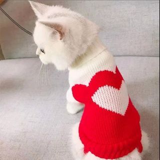 Baju anjing kucing rajut / knit pet clothes SIZE M