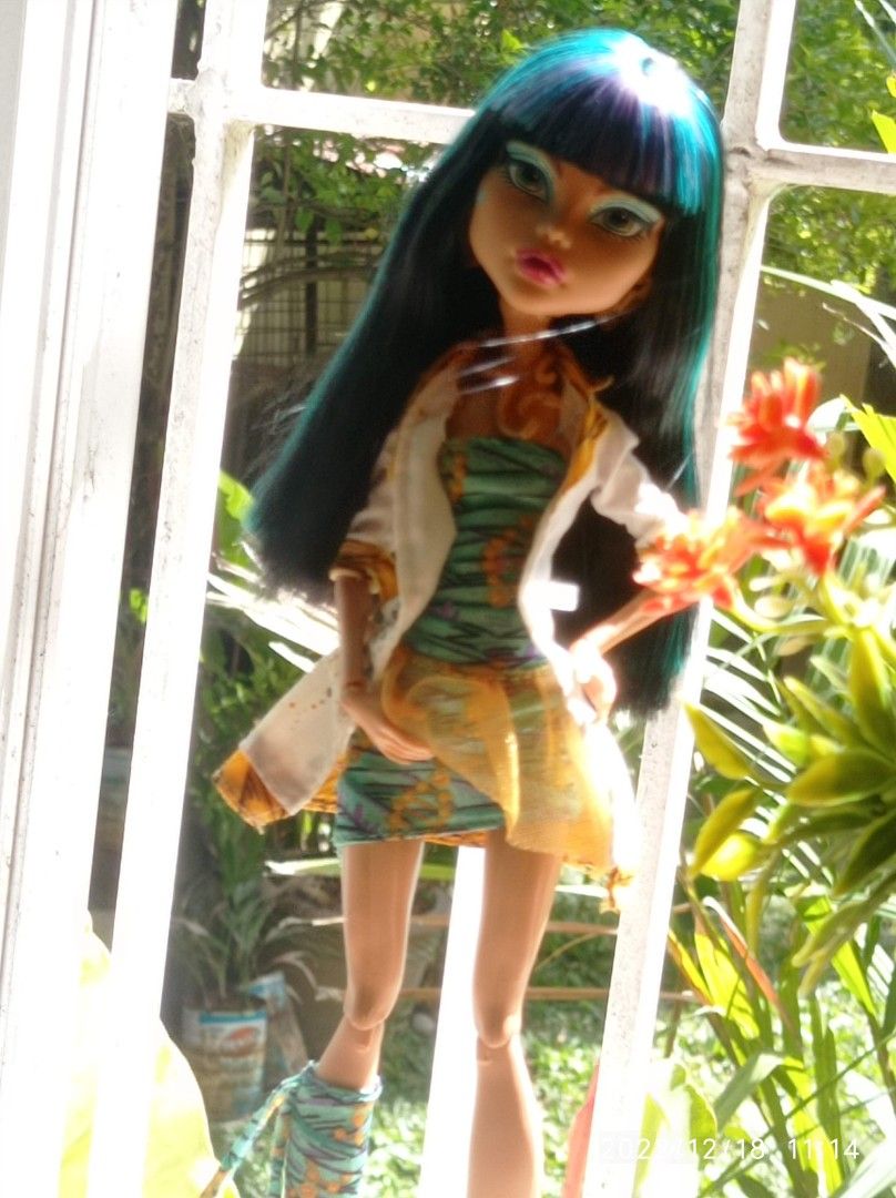 Cleo De Nile Monster High, Hobbies & Toys, Toys & Games on Carousell