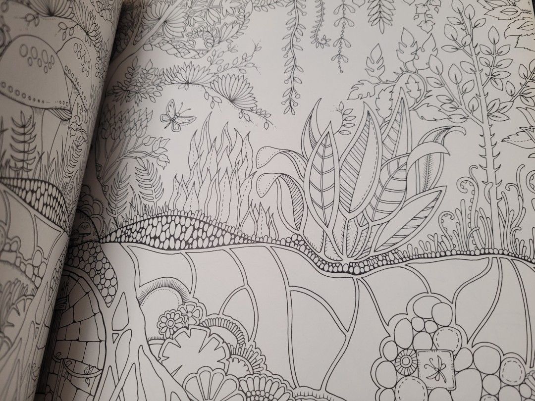 Coloring book 魔法森林 填色, 興趣及遊戲, 書本 & 文具, 雜誌及其他 - Carousell