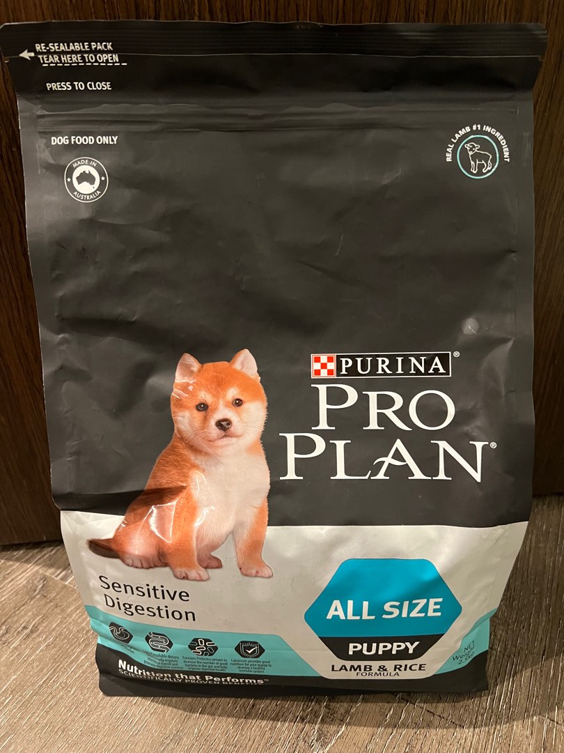 vinyl dog door insert