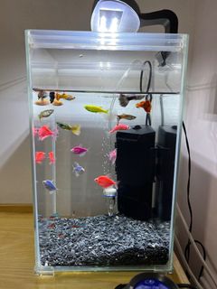 (Category: ) located in . Submitted by fish86 (Listing ID 1203795699, Image 1). Description: .