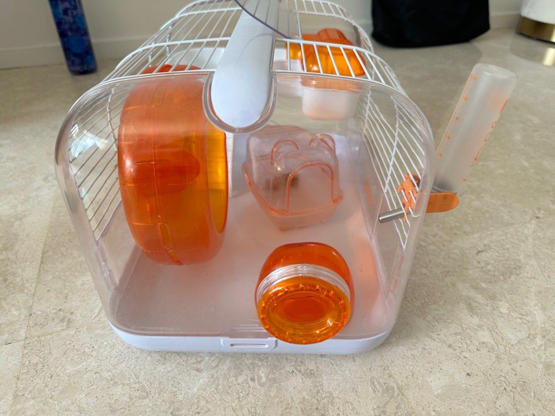 Habitrail Hamster Cage with full accessories Pet Supplies Homes Other Pet Accessories on Carousell