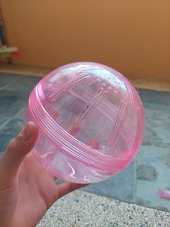 (Category: ) located in . Submitted by happynestlings (Listing ID 1203761588, Image 1). Description: .