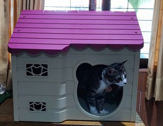 (Category: ) located in . Submitted by pebblepixie (Listing ID 1203934048, Image 1). Description: .