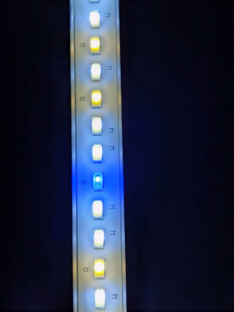 Led light, Pet Supplies, Homes & Other Pet Accessories on Carousell