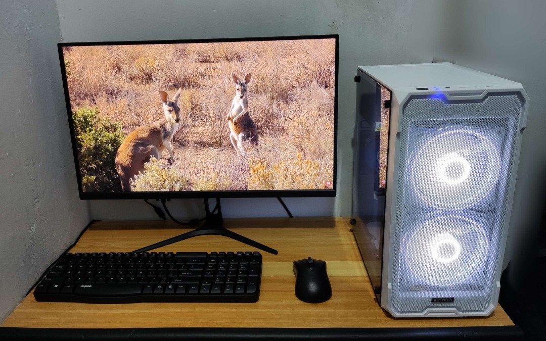 READYTOUSE Desktop Computer PC for Gaming, WFH Work from Home