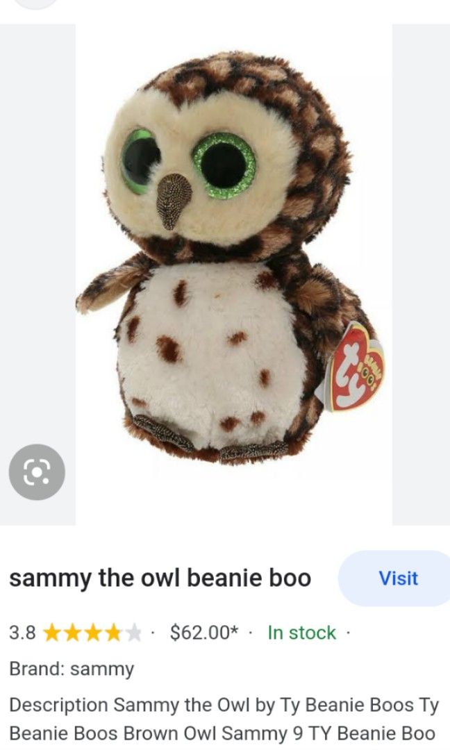 TY sammy owl 9 inches Hobbies Toys Memorabilia Collectibles