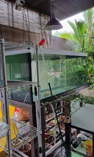 (Category: ) located in . Submitted by kjtan9 (Listing ID 1204012945, Image 1). Description: .
