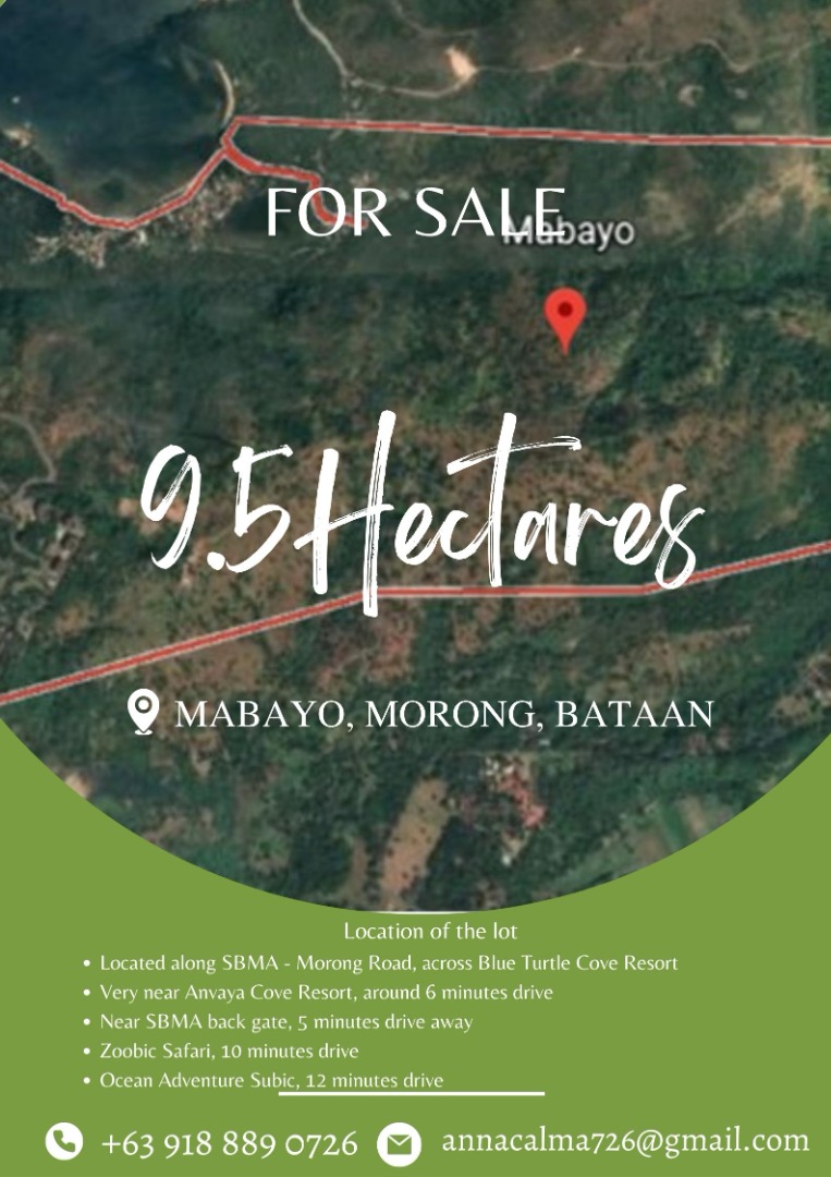 9.5 HA Lot for Sale Morong, Bataan, Property, For Sale, Lot on Carousell