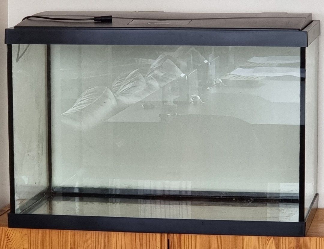 Fish tank 20 gallon Pet Supplies Homes Other Pet Accessories