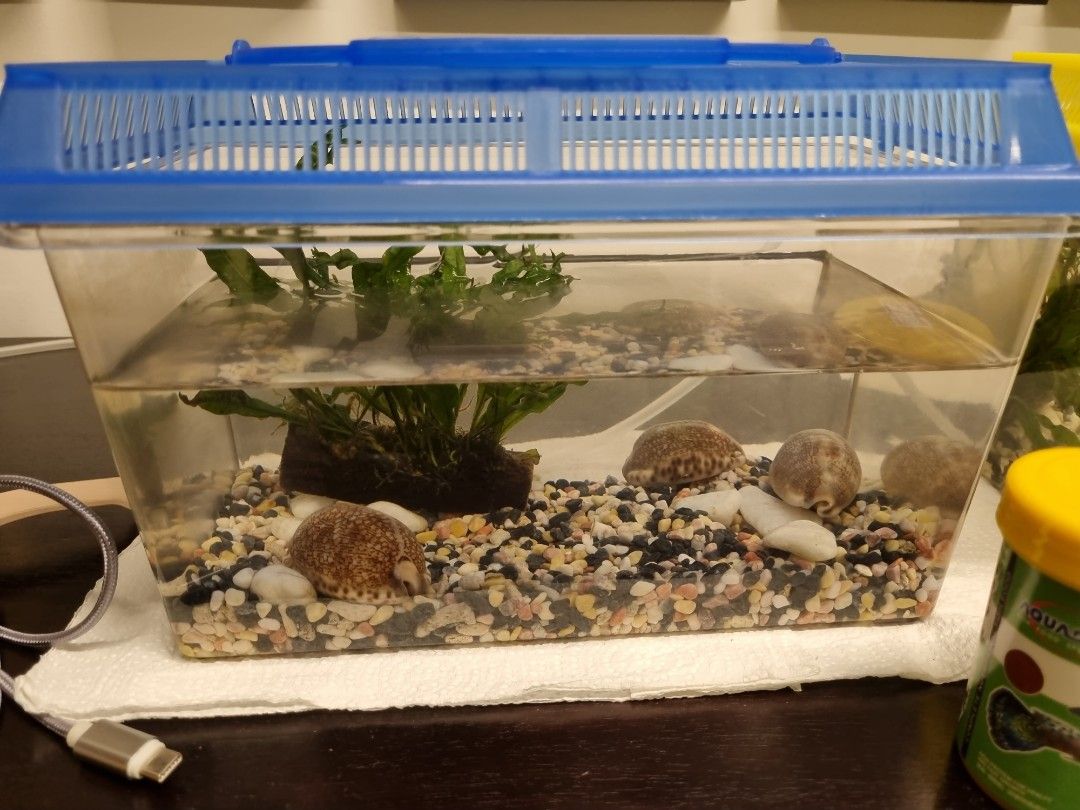 small complete aquarium