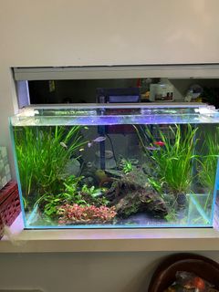 (Category: ) located in . Submitted by ng_paul (Listing ID 1204096950, Image 1). Description: .