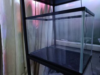 (Category: ) located in . Submitted by fourdusk4 (Listing ID 1204166753, Image 1). Description: .
