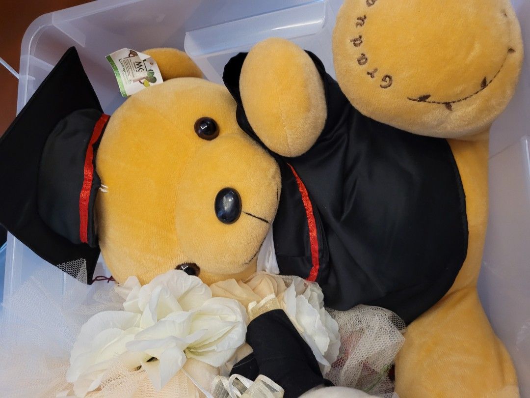 second hand teddy bears for sale