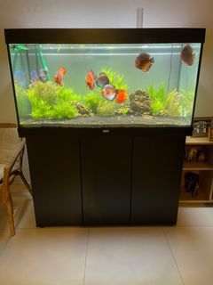 (Category: ) located in . Submitted by luxsense (Listing ID 1203962217, Image 1). Description: .