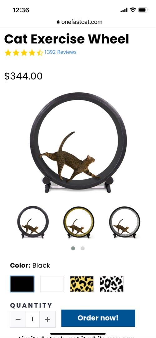 One fast cat reviews on sale