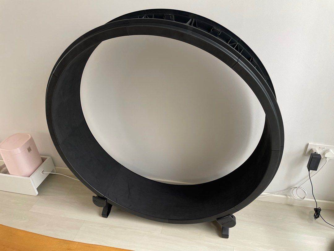 cat exercise running wheel