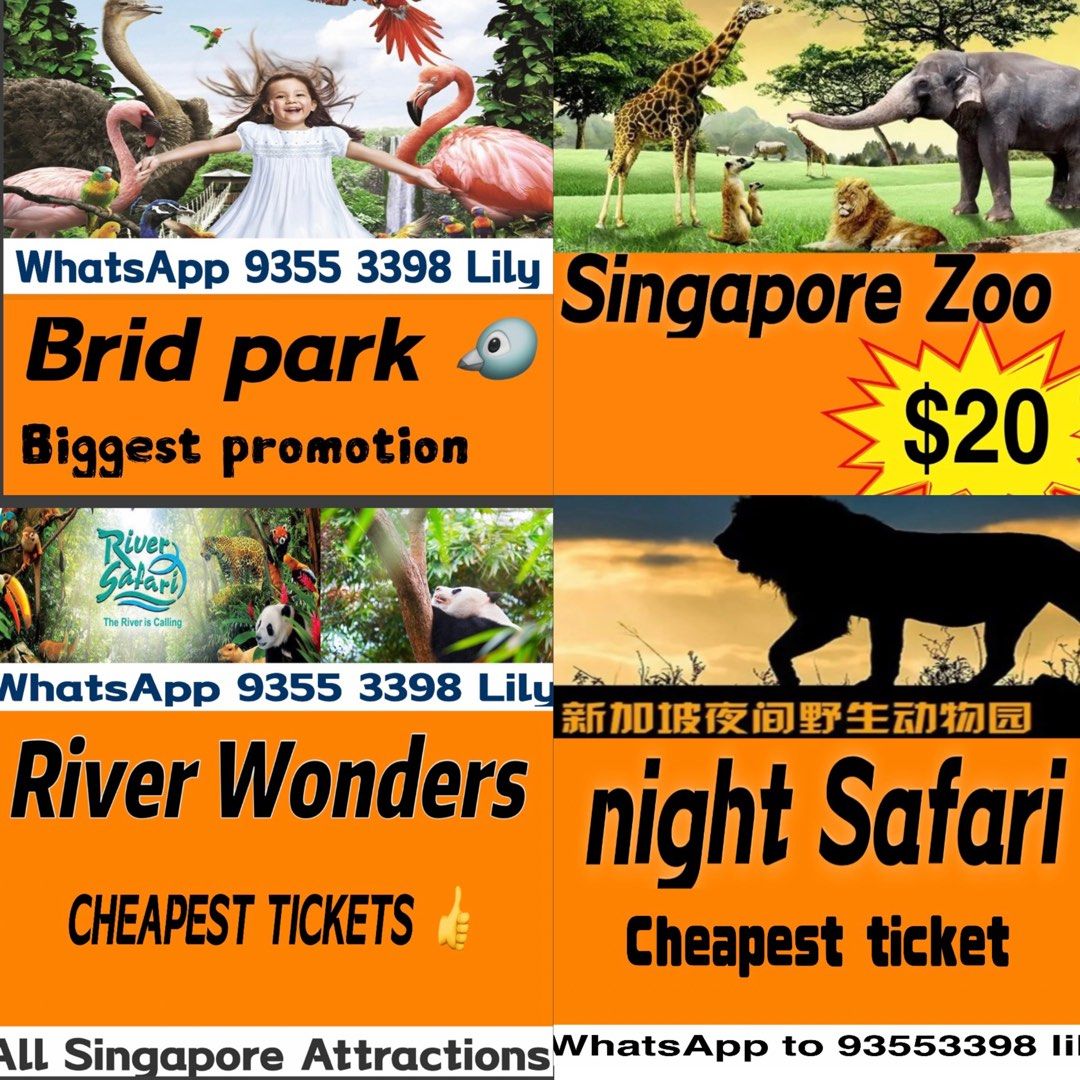 singapore zoo night safari tickets