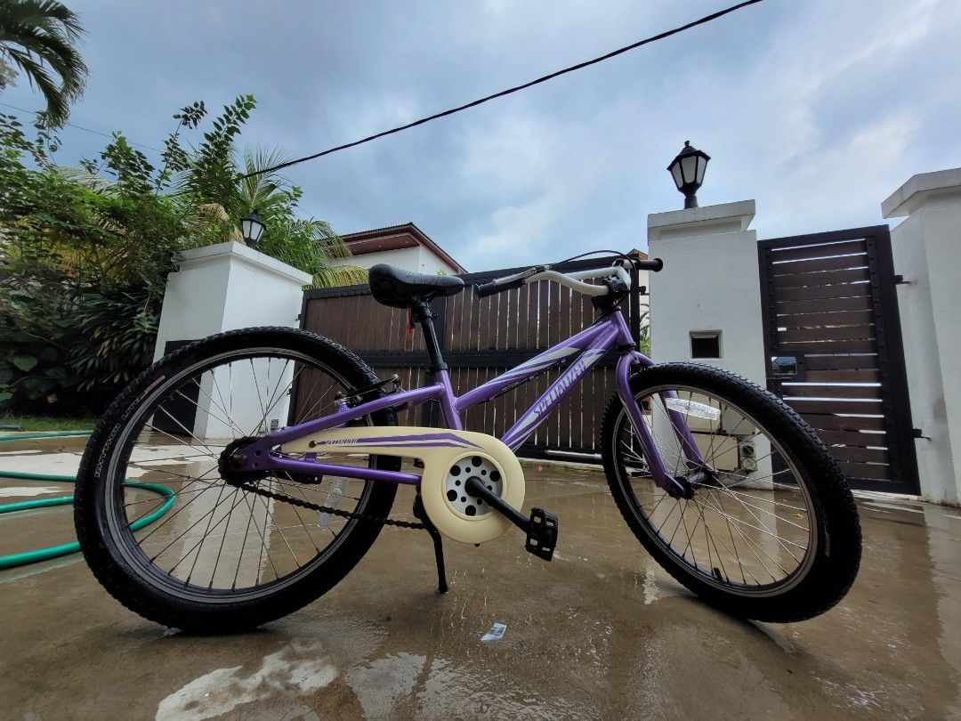 Specialized hotrock sale 20 purple