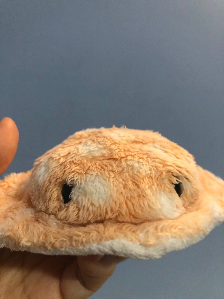 ray plush