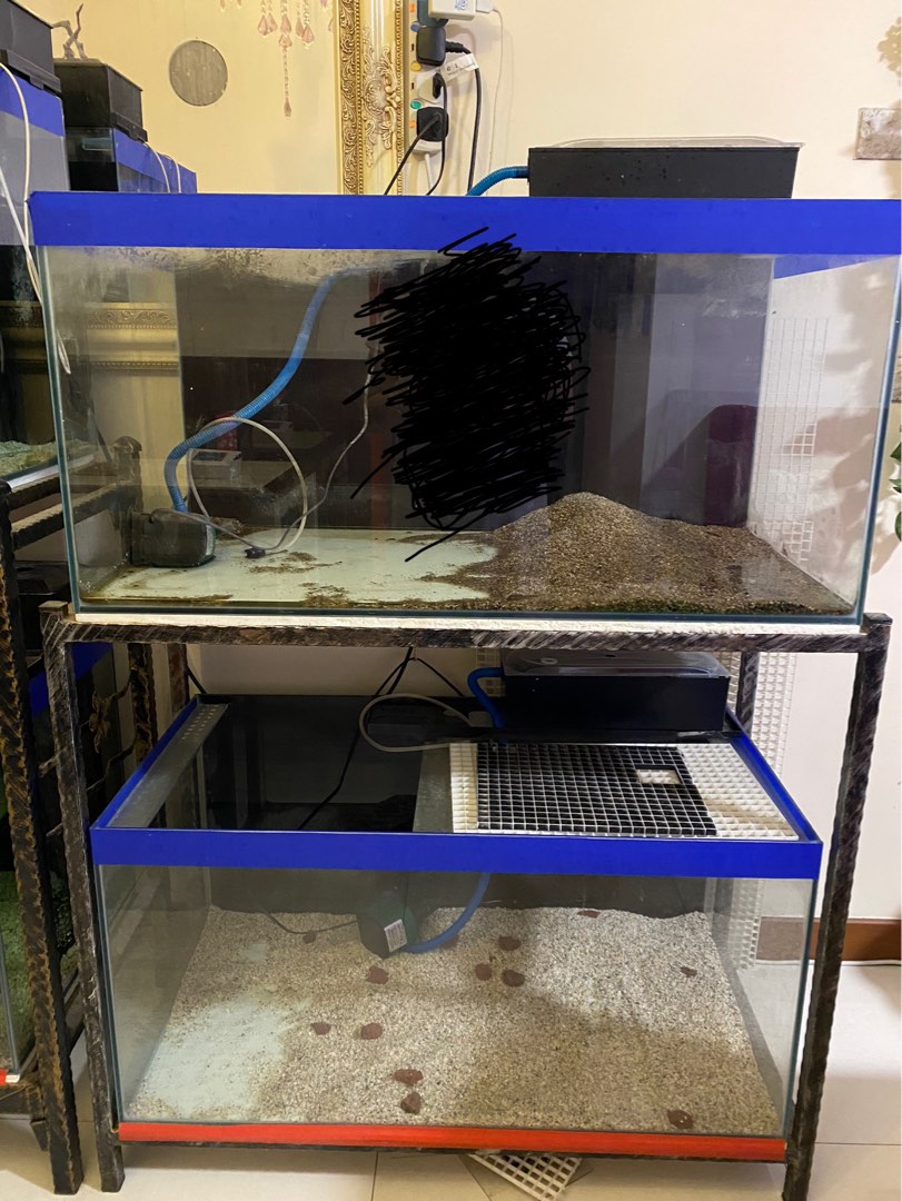 2 Fish Tanks with Wrought Iron Rack for Sale, Pet Supplies, Homes & Other Pet Accessories on