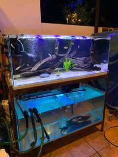 (Category: ) located in . Submitted by theprodigee (Listing ID 1200574080, Image 1). Description: .