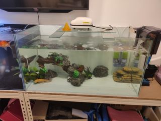 (Category: ) located in . Submitted by nizamgates (Listing ID 1198327433, Image 1). Description: .
