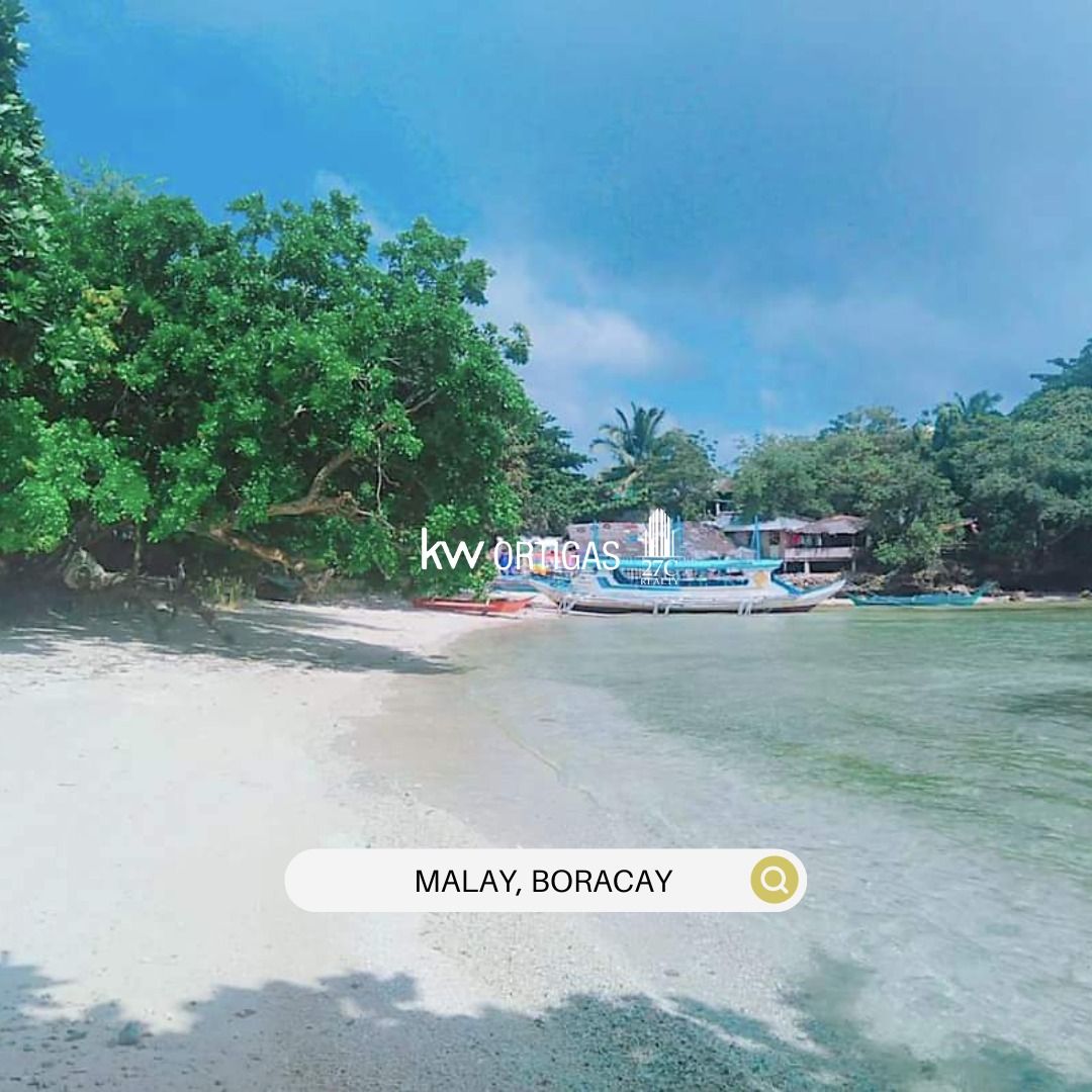 6.56 Hectares Beachfront and Flat Land for Sale in Boracay, Malay