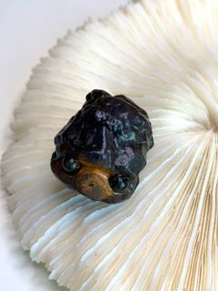 Egyptian Prophecy Stone Cosmic Stone Energy Stone Spiritual Meditation Item ❤️ 🥰 #1164.64209179864705110