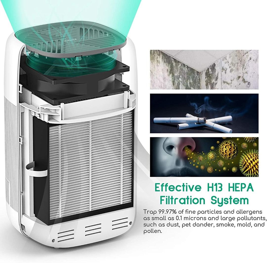 Afloia HEPA Air Purifier Dehumidifier 2in1 Dehumidifier Filter for