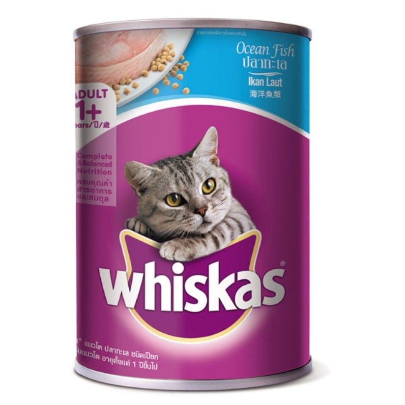 Wet food kucing 2025