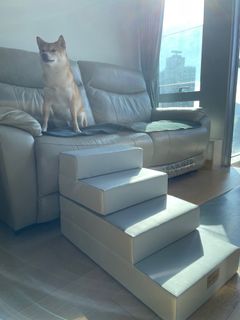 （分類：）位於 。 由 super_onsales 提交（商品編號 1200440823，圖片 1）。簡介： 。