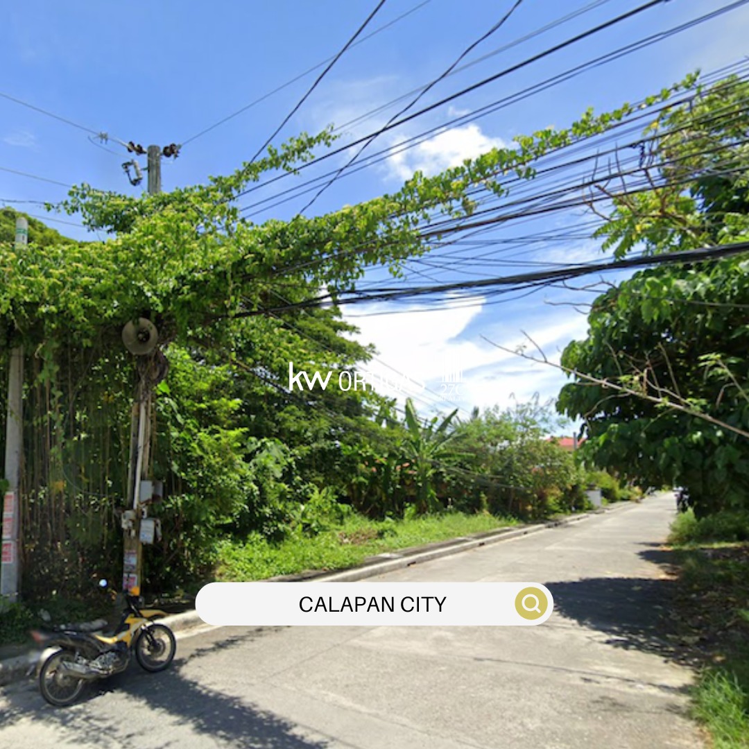 DoubleCorner Lot for Sale in Lumangbayan, Calapan City, Oriental Mindoro, Property, For Sale