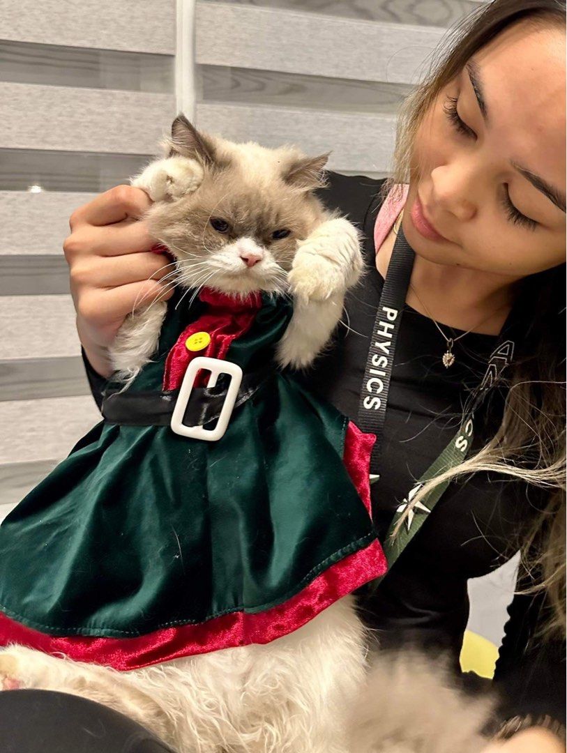 Cat elf costume shop