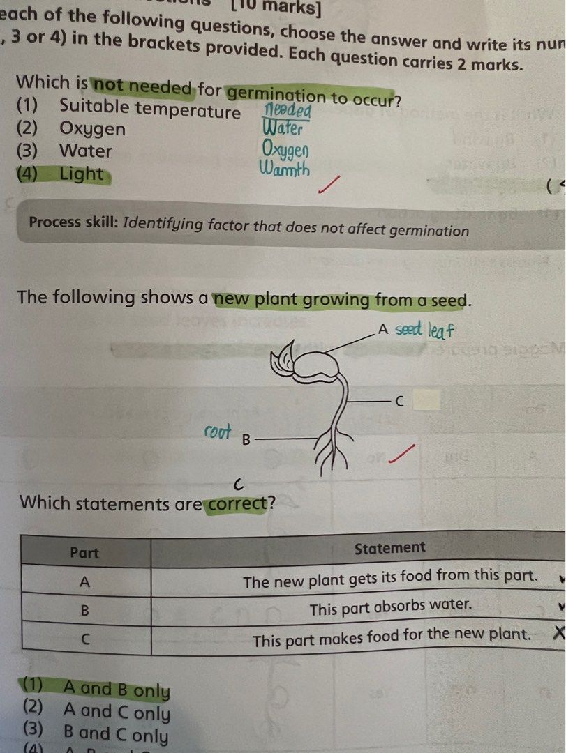 Eph P4 P5 Must Know Science Process Skills And Key Words Assessment Books Hobbies And Toys 