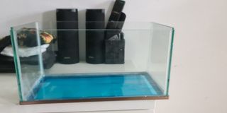 (Category: ) located in . Submitted by phisangmilk (Listing ID 1200452992, Image 1). Description: .