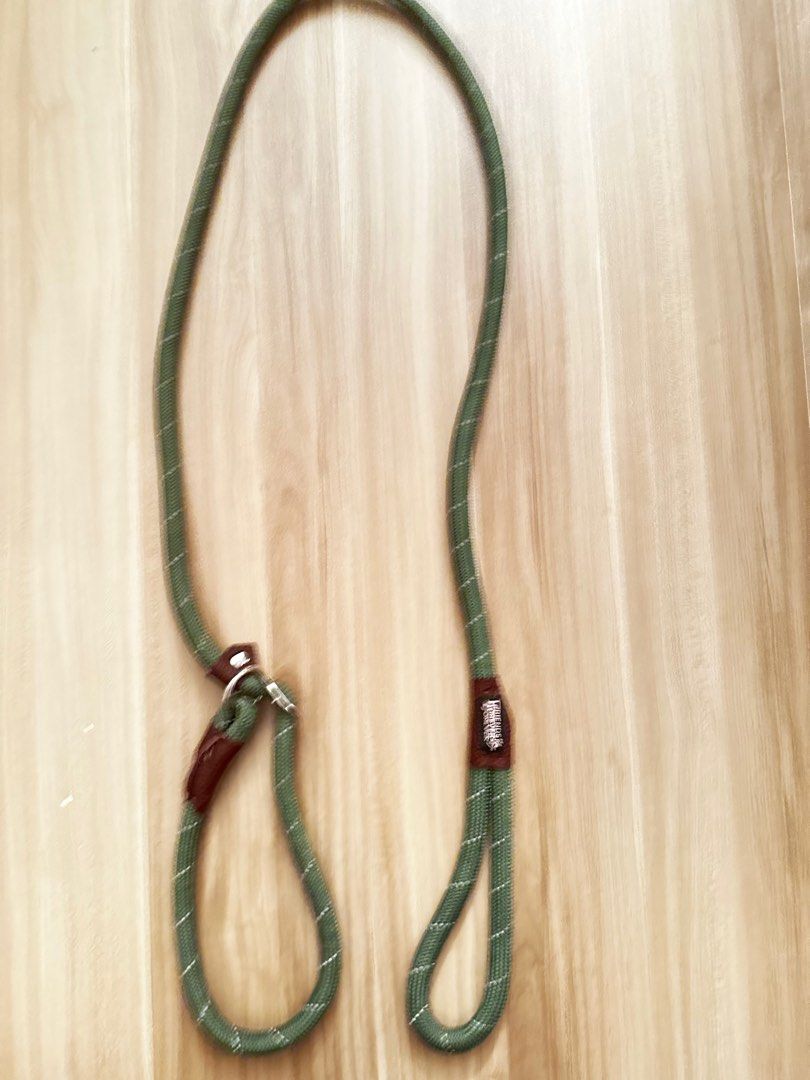 Friends forever hotsell dog leash